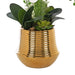 26.77" H Orchid Floral Arrangement in Gold - plated Ceramics Vase - HomeBeyond