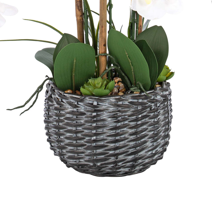 27.95" H Phalaenopsis Orchids Floral Arrangement in Bamboo Woven Pot - HomeBeyond