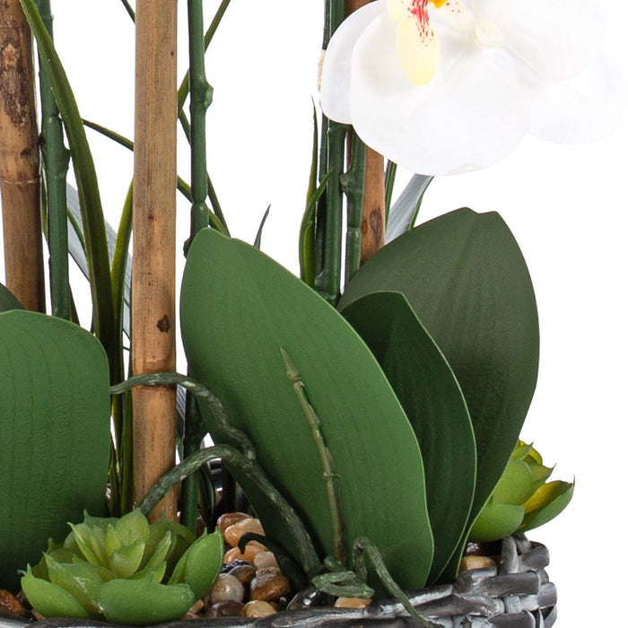 27.95" H Phalaenopsis Orchids Floral Arrangement in Bamboo Woven Pot - HomeBeyond