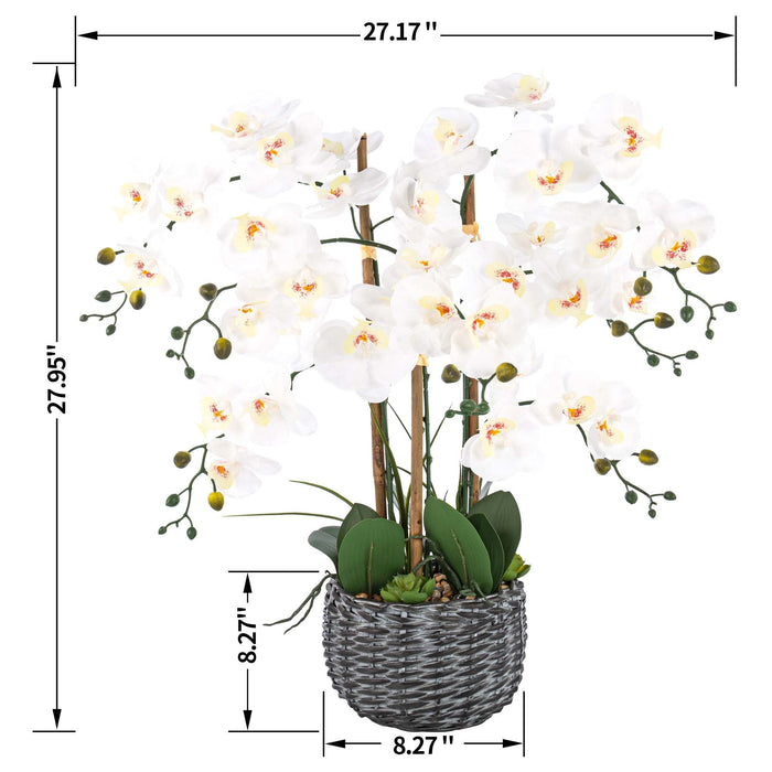 27.95" H Phalaenopsis Orchids Floral Arrangement in Bamboo Woven Pot - HomeBeyond