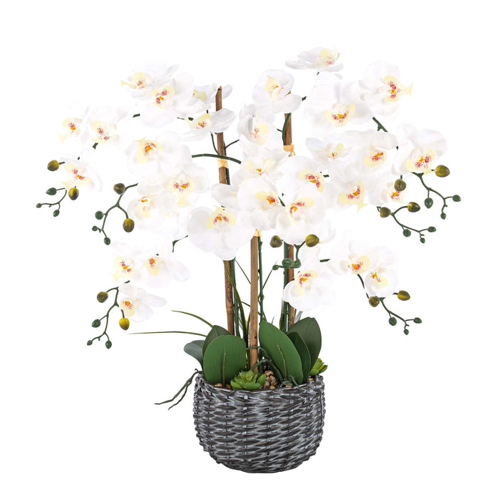 27.95" H Phalaenopsis Orchids Floral Arrangement in Bamboo Woven Pot - HomeBeyond