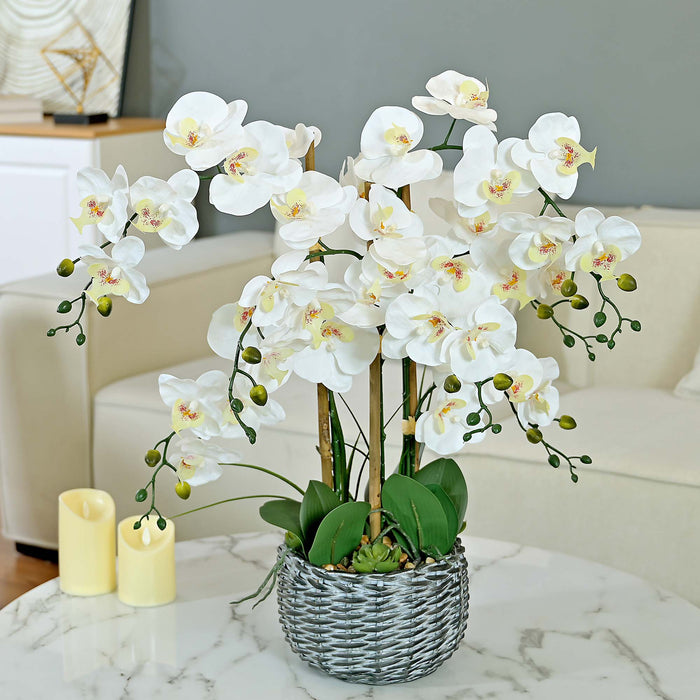 27.95" H Phalaenopsis Orchids Floral Arrangement in Bamboo Woven Pot - HomeBeyond