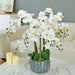 27.95" H Phalaenopsis Orchids Floral Arrangement in Bamboo Woven Pot - HomeBeyond