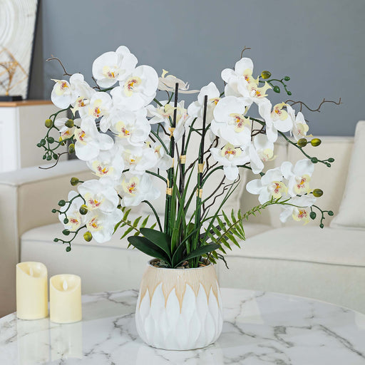 32.28" H Orchid Floral Arrangement in White Ceramics Vase - HomeBeyond