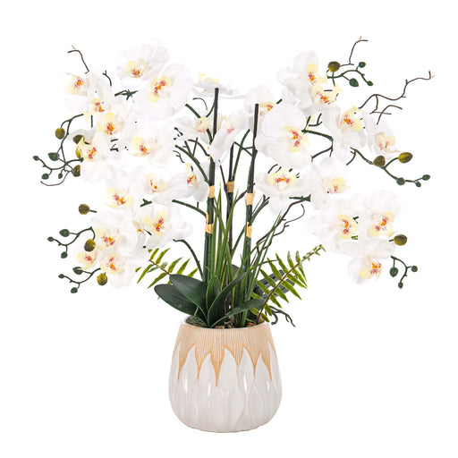 32.28" H Orchid Floral Arrangement in White Ceramics Vase - HomeBeyond