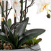 36.22" H Artificial Phalaenopsis Orchids Floral Arrangement in Pot - HomeBeyond