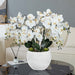 36.22" H Artificial Phalaenopsis Orchids Floral Arrangement in Pot - HomeBeyond