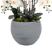 36.22" H Artificial Phalaenopsis Orchids Floral Arrangement in Pot - HomeBeyond