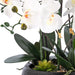 36.22" H Artificial Phalaenopsis Orchids Floral Arrangement in Pot - HomeBeyond