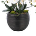 36.22" H Artificial Phalaenopsis Orchids Floral Arrangement in Pot - HomeBeyond