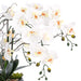 36.22" H Artificial Phalaenopsis Orchids Floral Arrangement in Pot - HomeBeyond