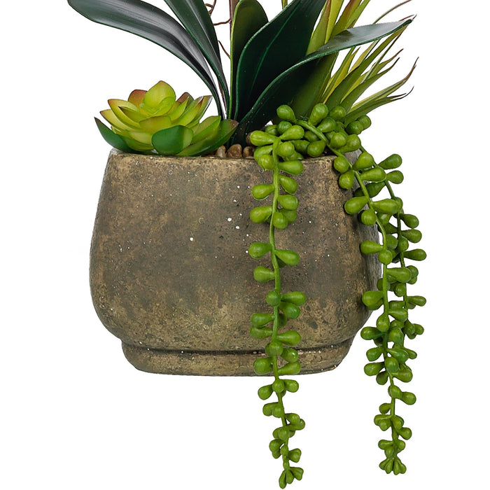 Vanity Art Phalaenopsis Orchid Floral Arrangement in Decorative Cement Pot | Single-stem Artificial Real Touch Silk Orchid home decor with Succulents in Grey Cement Pot, MLTAO-1007SS - HomeBeyond