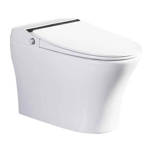 Vanity Art Smart Toilet with Elongated Heat Seat, Warm Water, Air Dry, Moving Cleanse - HomeBeyond